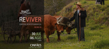 Exposi&ccedil;&atilde;o Fotogr&aacute;fica "ReViver"
